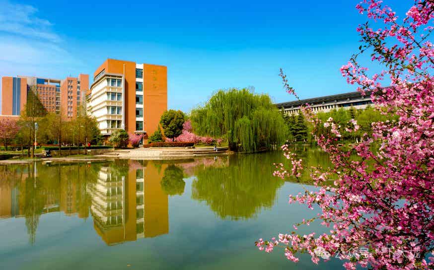 图片[1]-被喊一声“老婆”，研究生被骗走300块伙食费-小蓝短视频