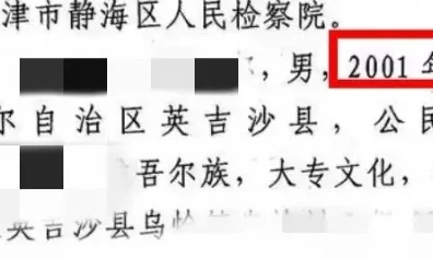 网红新疆大盘鸡，疑因盗窃被判了3年？！