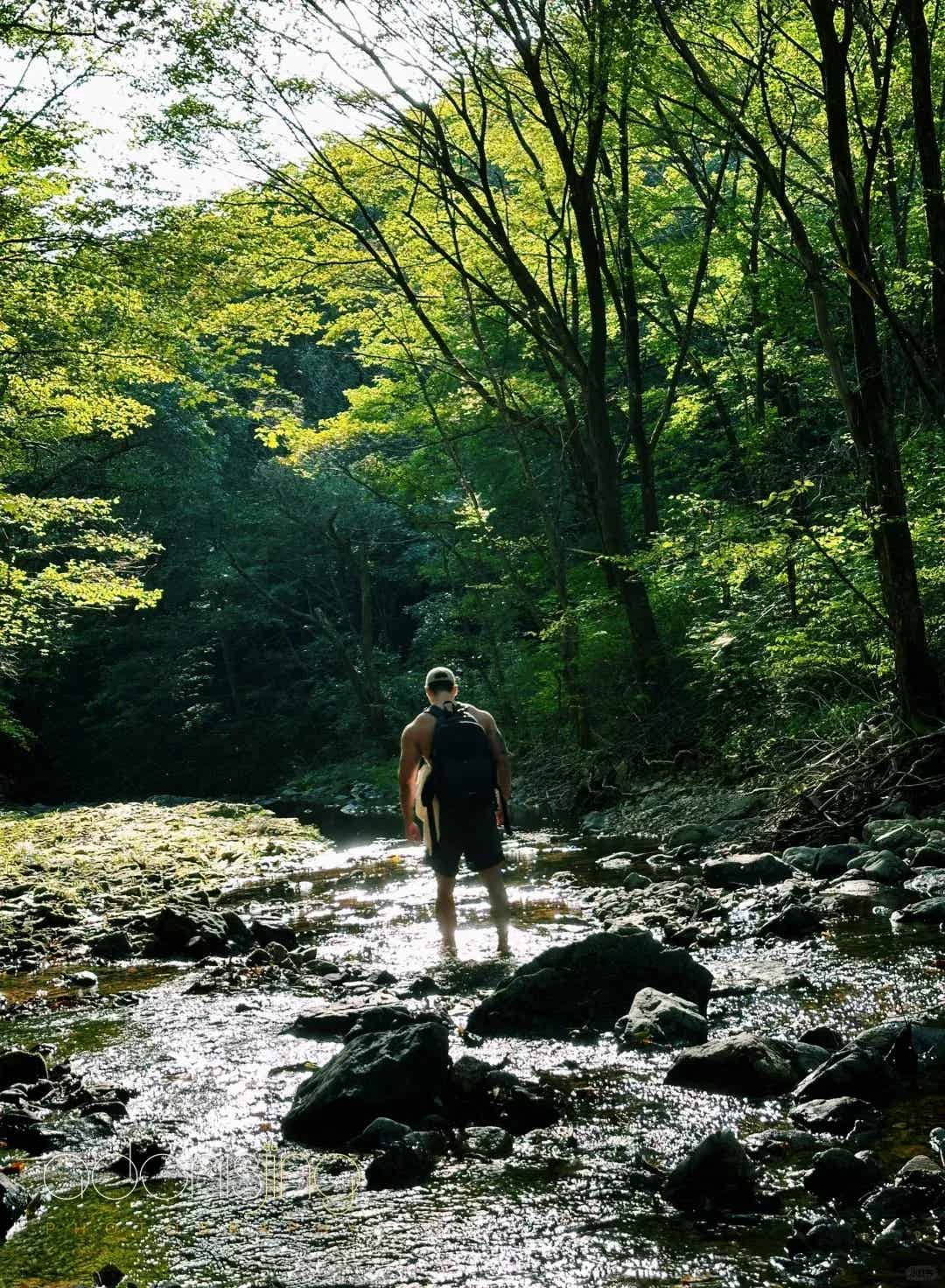 图片[11]-又又又被粉丝考古啦！192CM汪顺的泳裤太太勒了！-小蓝短视频