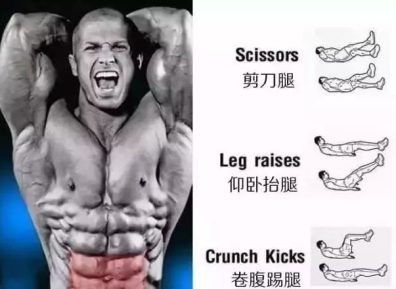 腹肌的不同位置该如何虐？6张图解告诉你