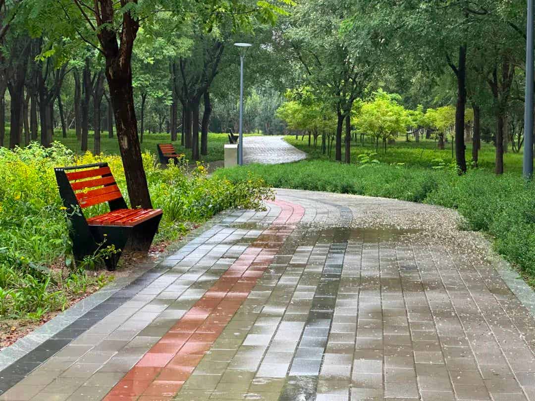 图片[4]-随笔｜2025年8月8日下午西会休闲园（Xihui Park）雨中漫游记-小蓝短视频